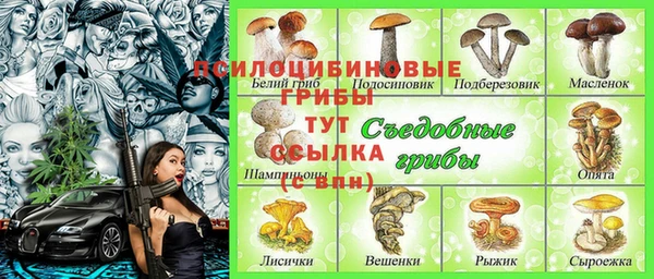 сатива Вязьма