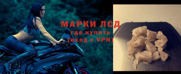 гашик Вяземский