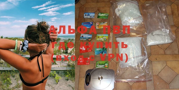 сатива Вязьма
