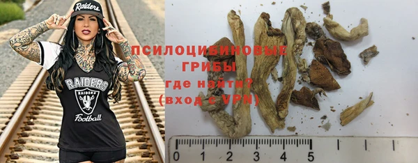 гашик Вяземский
