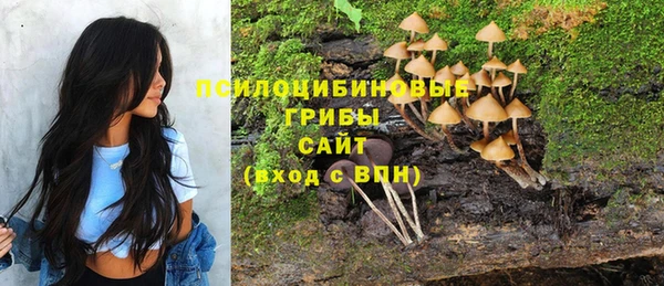 гашик Вяземский