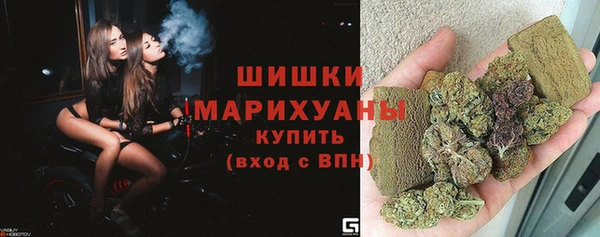 сатива Вязьма