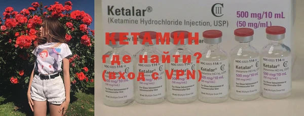 гашик Вяземский